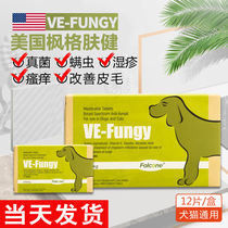 American Maple Skin Care Dogs Kitty Skin Farinfighting Kokie Fungal Mites Allergy Eczema Dermatitis Oral Tablets