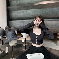 (5 fold clearance) cold dark dark 100% Ramie black texture wool edge U collar swan neck short top