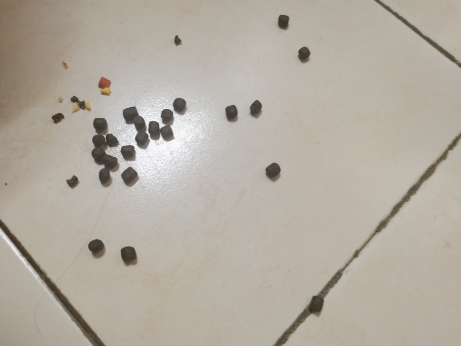 富粒滋冻干狗粮好不好用,是什么牌子,第6张 富粒滋冻干狗粮好不好用,是什么牌子,第6张