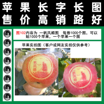 Round smooth sailing figure 102 apple long word word stickers art stickers full of tape type red Fuji