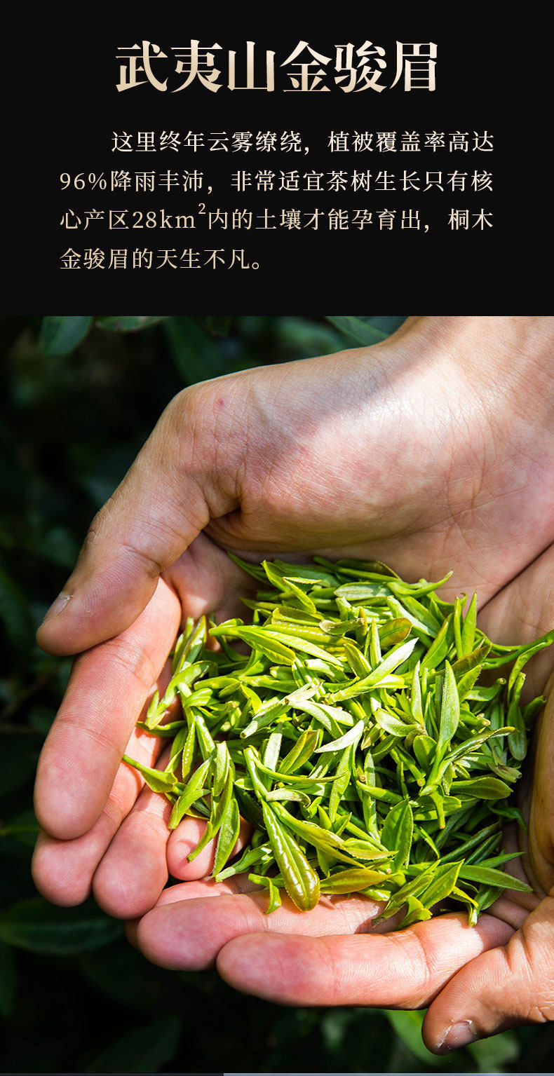 半山腰金骏眉红茶特级正宗浓香型2021新茶黑芽茶叶小袋装散装500g