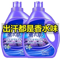 Lavender lavender laundry detergent fragrance long-lasting household decontamination and fragrance type retention 10kg large barrel family