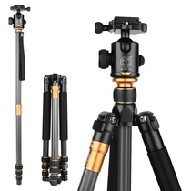 Lightweight era mobile phone bracket Q999C Carbon fiber SLR camera tripod Photography camera gimbal tripod
