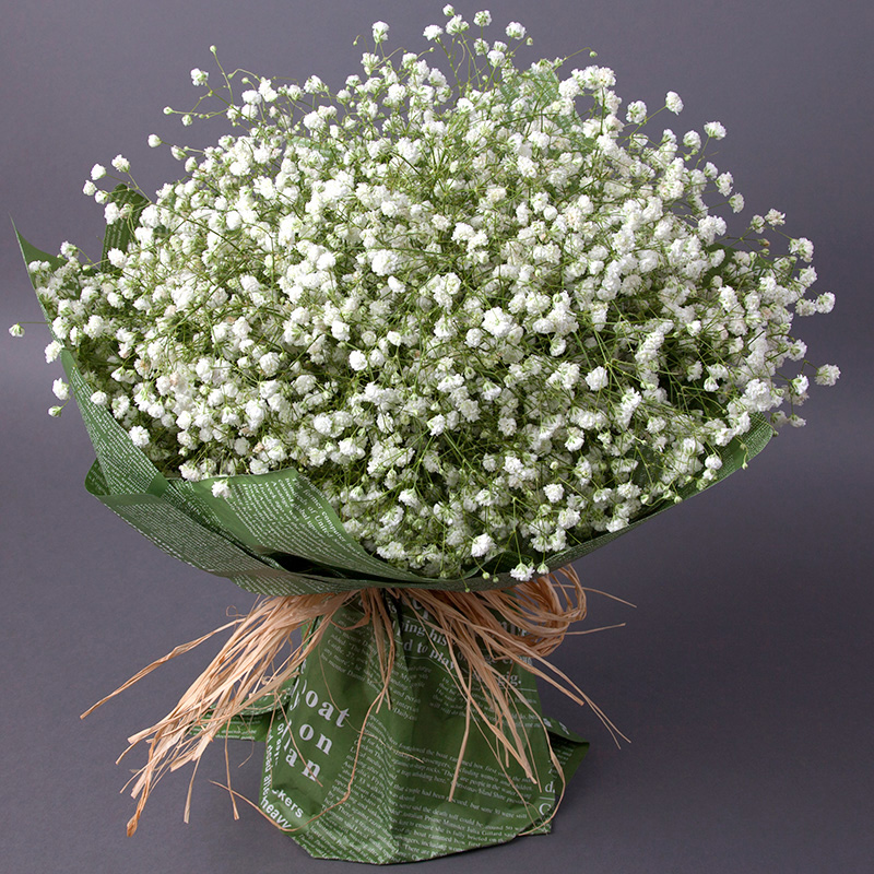 广西北海实体花店同城免费送满天星花束致青春同款