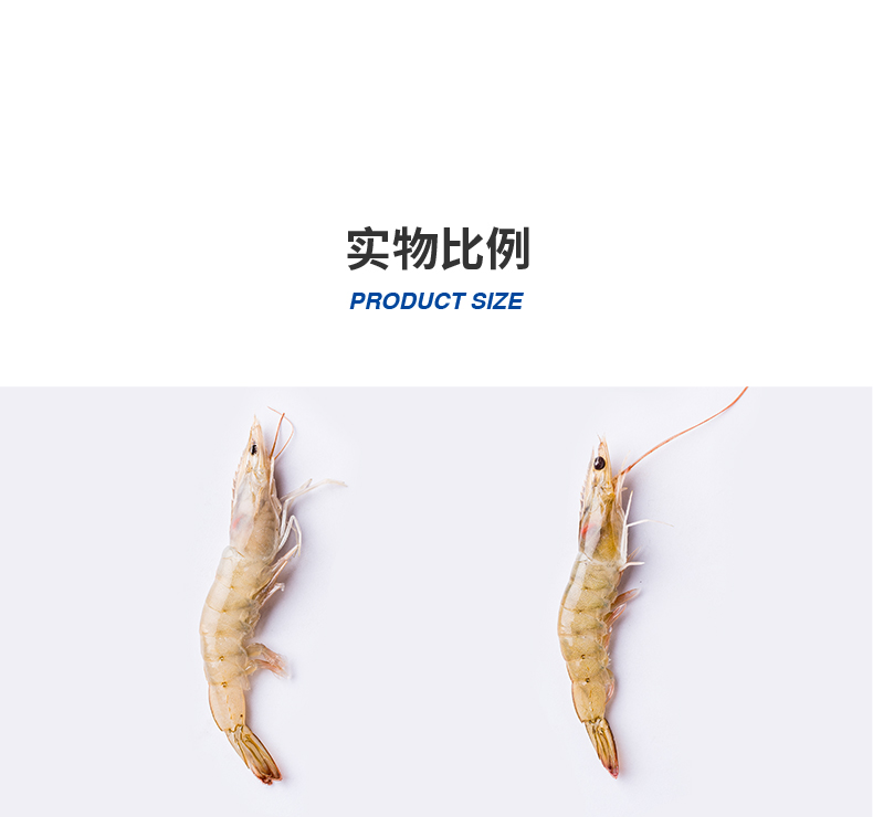 实物比例PRODUCTSIZE-推好价 | 品质生活 精选好价