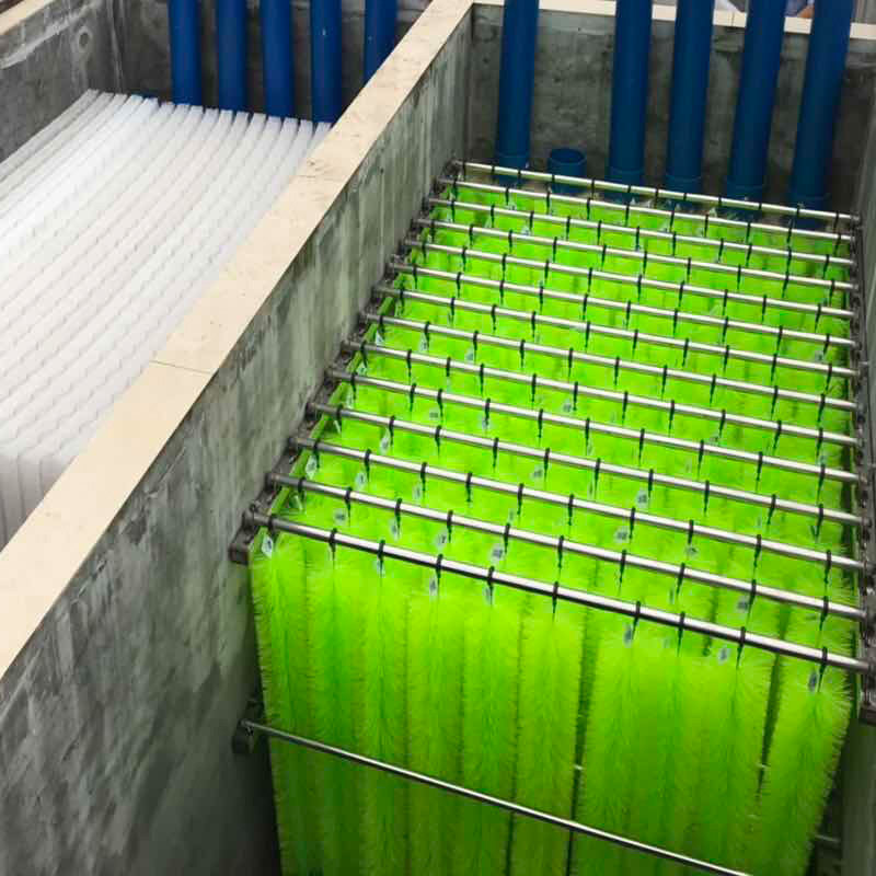 毛刷消音毛刷球鱼池鱼缸过滤材料观赏鱼生化净水培菌静音毛刷