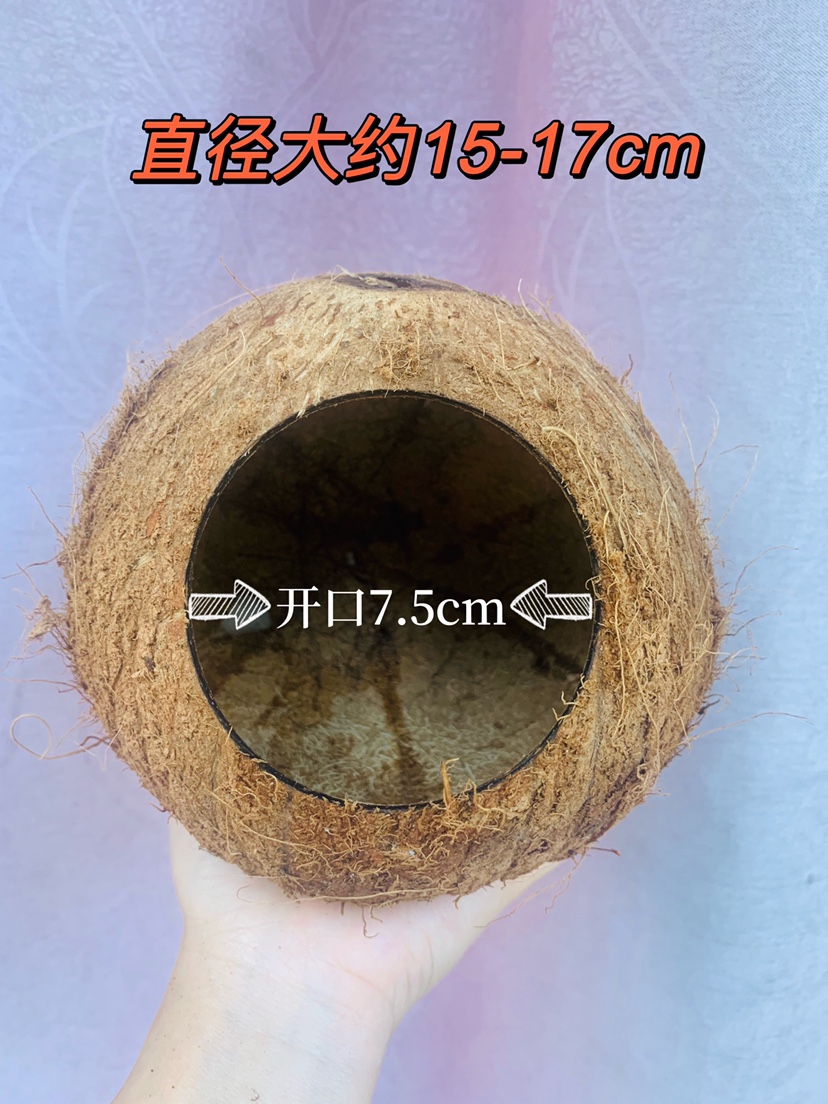 Hainan Wenchang raw material natural coconut shell flower pot planting decorated hamster to hide from nest bird's nest to keep warm over winter-Taobao