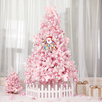 Hua Chi small large pink Christmas tree with lights simulation tree home decoration Christmas Package 1 5 m decorations