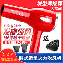 Deliss T6 Electric Blow High Power Home Barber Shop Han Style Styling Thermostatic Cold Hot Air Muted Hair Dryer