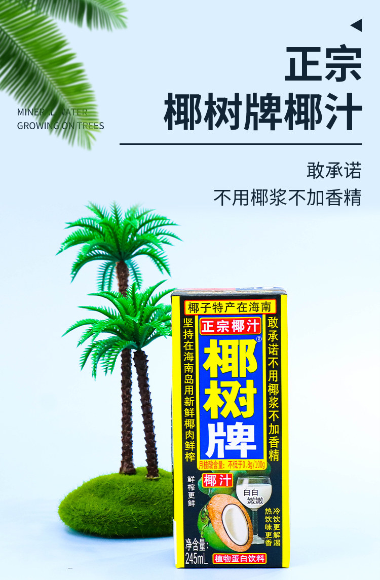 正宗椰树牌椰汁245ml*6盒植物蛋白生榨椰子汁椰奶海南特产水饮料