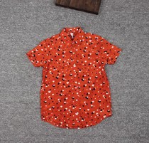 Literary and colorful loving small round turned collar with short sleeve impermeable to snow-spinning shirt female summer clothes new student blouses