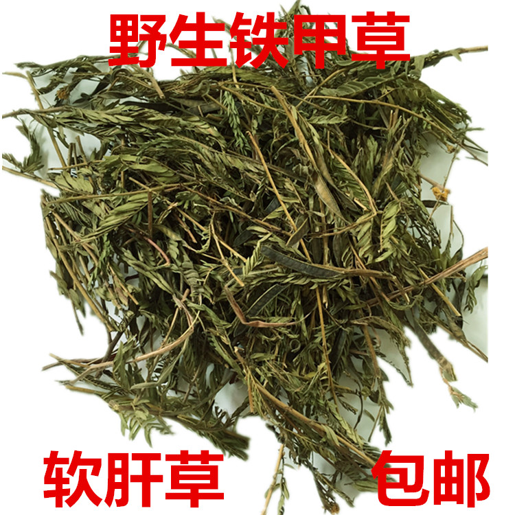 中药材野生铁甲草500g软肝草含羞草决明2017新货农家自晒正品保证_7折