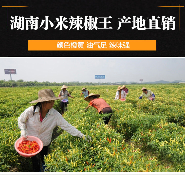 湖南超香特辣小米辣椒王黄干辣椒魔鬼巨辣野山椒500g包邮产地直销
