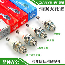 Chainsaw spark plug two-stroke gasoline saw igniter Hedge machine Universal 2-punch nozzle medicine mist machine Model aircraft