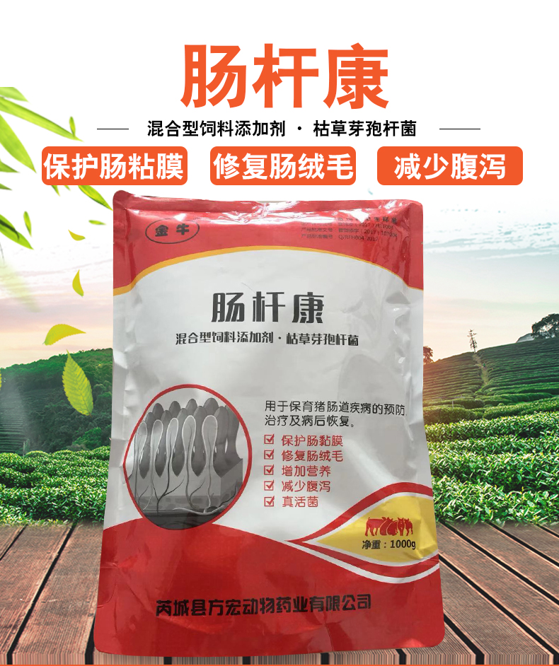 【兽用肠杆康枯草芽孢杆菌】1000克保育猪肠道 鸡大肠杆菌 真活菌