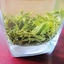 崂百姓 崂山大田茶 2021年新茶 绿茶 500g 崂山茶 产地发货