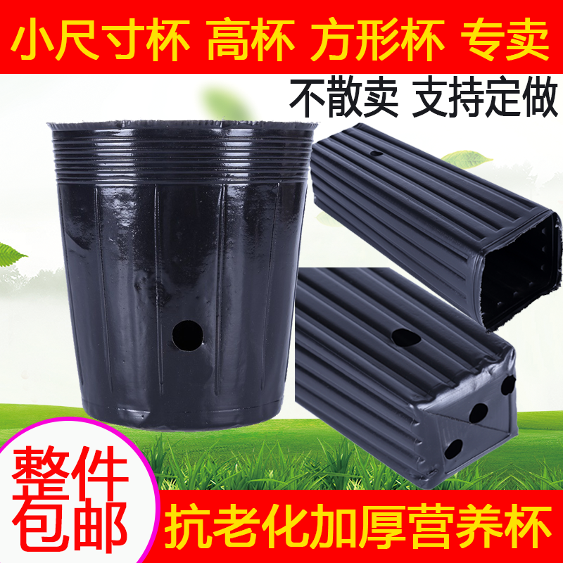 抗老化加厚营养杯育苗杯一次性果树育苗袋柑橘杯圆杯方杯PE营养钵 Изображение 1 抗老化加厚营养杯育苗杯一次性果树育苗袋柑橘杯圆杯方杯PE营养钵 Изображение 1