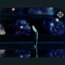 (Lin Instrumental Building) Pakistan jewel crystal green bejeweler small crowdsourced mineral specimen ornament pendulum gift