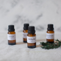 Aromatherapy essential oil diffuser stone special bedroom incense household plaster aromatherapy plant essential oil spices