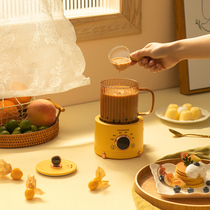 South Korea Daewoo Health Preserving Pot Office Small Mini Health Cup Home Multifunction Cooking Tea Ware Flower Tea Burning Kettle