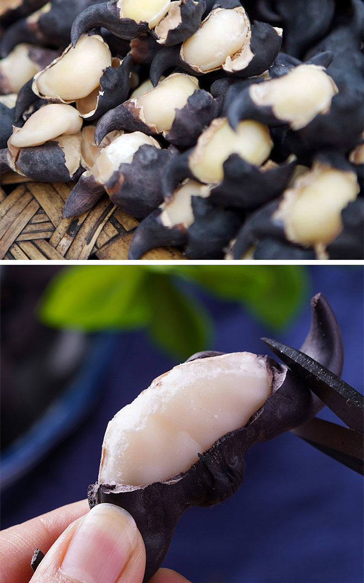 新鲜黑菱角现摘即食野生带壳粉糯蔬菜特价湖北特产老菱角现货