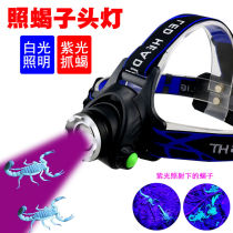 Scorpion light Super bright strong bald head wear outdoor light Scorpion special purple light white purple dual light source field light