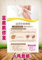 Pelvic floor muscle repair wall chart poster advertising posters display board wall stickers picture foam board KT board