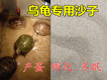 Turtle Eggs Sand Down Egg Sand Raised Turtle Eggs With Sand Soil Hibernating Fine Sand Turtle Egg Hatching Special Fine Sand Fish Tank Sand