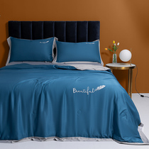 Summer Tian Xia cool quilt air conditioning by Ice Silk summer quilt four-piece set can be washed single double spring and autumn nude thin quilt