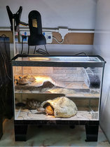 Fish tank glass turtle tank with sun table drainage water turtle seedling tank Amphibious tank 40 long back filter tank Turtle villa