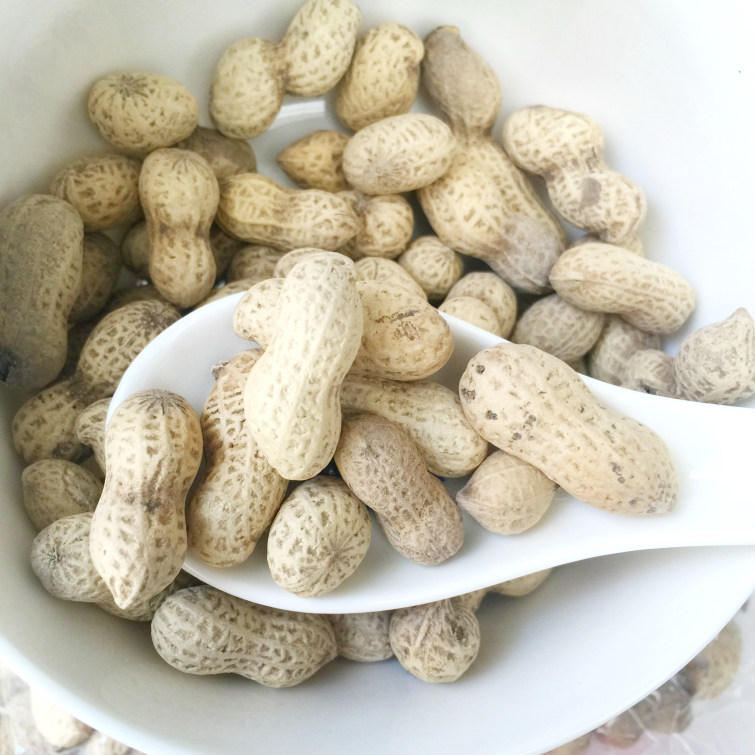 牛海花生500g散装生炒花生河源龙川车田特产带壳小粒花生客家咸味