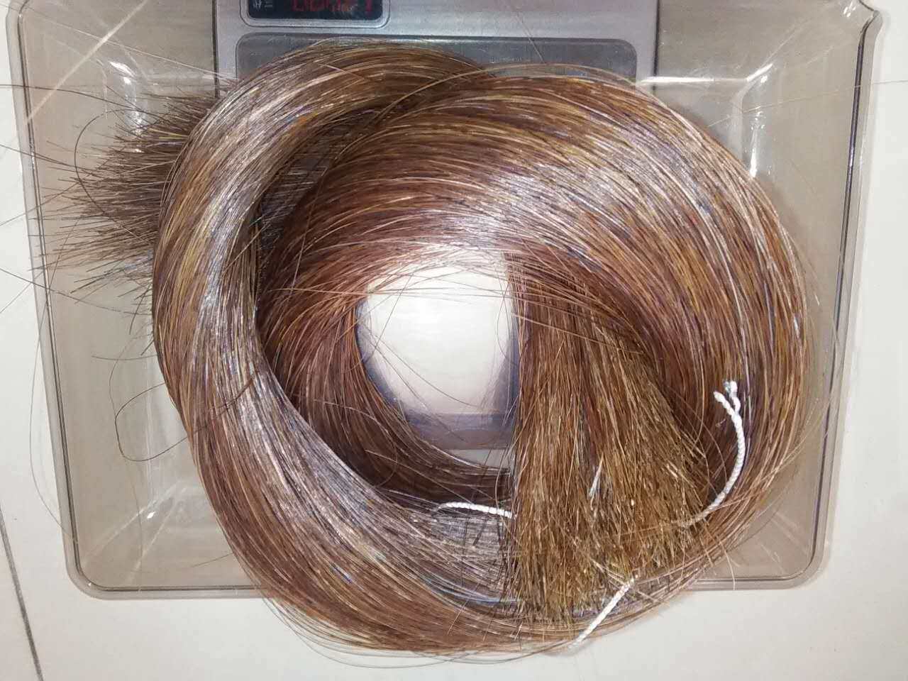 棕色马尾50克 马尾巴毛 小提琴弓毛 鸟套编织 工艺品编织真正马毛