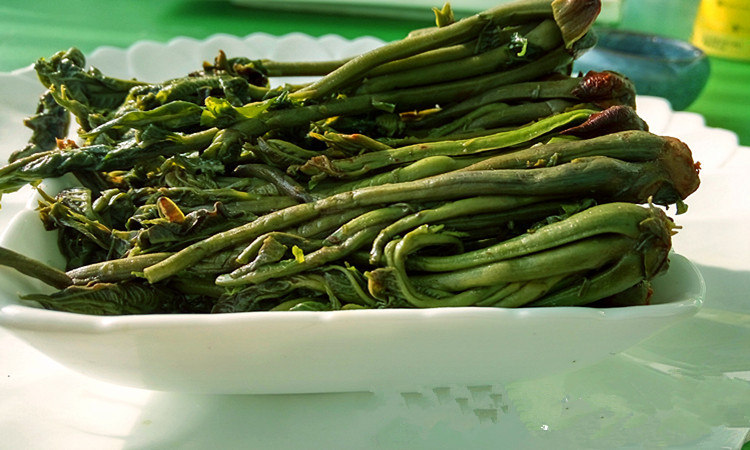 香椿芽头茬新鲜野生咸菜头腌制泡菜榨菜小酸菜下饭酱