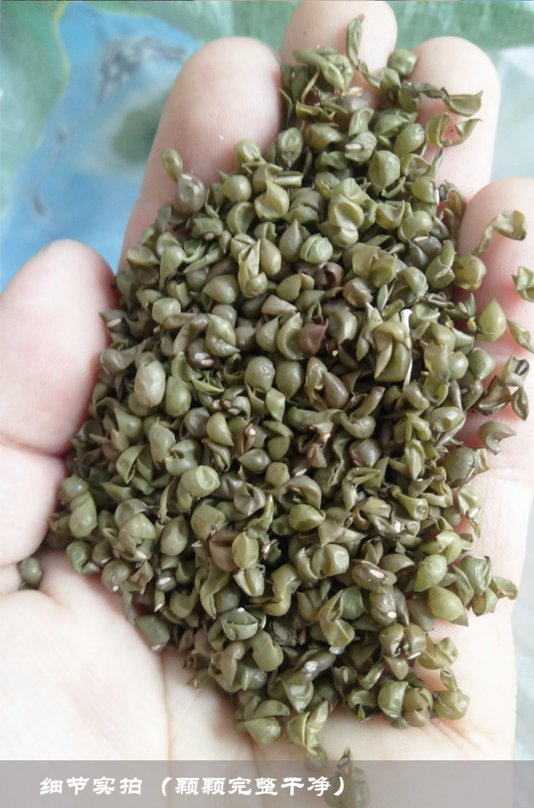 绿豆壳枕头绿豆皮散装新货农家自产绿豆壳枕芯儿童老人成人用包邮