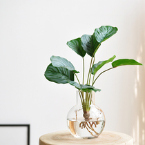 Nine-th Imitation Water Cultivation potted glass bottle matched with bamboo artichoke leaf fake green plant bionic decoration bonsai art338