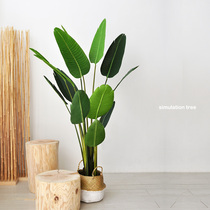 Nine Thoughts Simulation Plant Tree Brigade People Banana Large Landing Commercial Fake Green Plant Nordic Living Room Potted art324