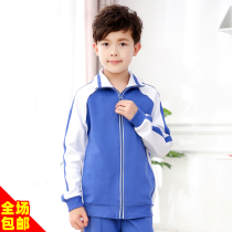 Shenzhen Unified primary school uniform Mens autumn and winter sportswear jacket jacket (cotton cloth)