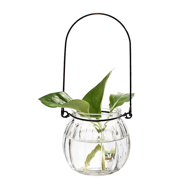 9 installed hanging transparent glass vase small bottle of pumpkin simple hydroponics indoor gardening pots home decoration 9 installed hanging transparent glass vase small bottle of pumpkin simple hydroponics indoor gardening pots home decoration