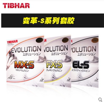 Wuhan physical store TIBHAR tall and straight change table tennis rubber MX-S EL-S FX-S reverse glue set glue