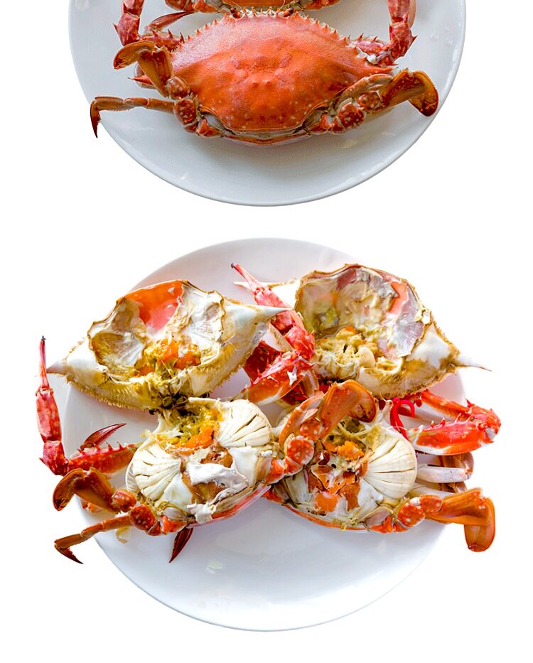 刘清 大连海鲜新鲜飞蟹4-5只/2斤 鲜活水产东沟飞蟹 活螃蟹母的