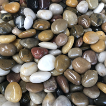 Pebbles rain stones rough stones natural clearance fish tank landscaping home improvement garden flower pots paving paving home improvement modeling