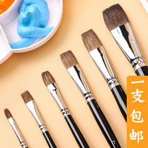 Wolf Milli Paintbrush Water Powder Watercolor Oil Painting Propylene Paintbrush Students Beginners Painting Suit Children Painting Educational Supplies