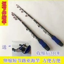 Road Asia Rod Flex Mini Suit Portable Super Short Drop Wheel Vibration Out Type Little Sea Rod SHRINK ICE FISHING ROD