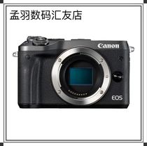 Canon M3 M5 M6 M100 M50 Travel HD Video Portrait Landscape Selfie vlog Micro SLR