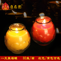 From the garden ghee oil lamp 24 hours 1 balance mouth plant ghee lamp Bodhi lamp for lamp Buddha lamp polyfob tie edge