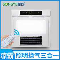Matsuno cool pa blowing ventilation two-in-one kitchen integrated ceiling bathroom ceiling lighting cold pa exhaust fan