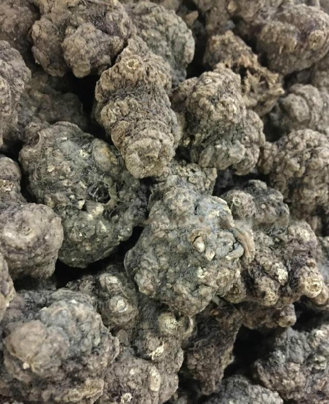 中药材川芎 四川野生川芎个 纯生态川芎整个子500g包邮