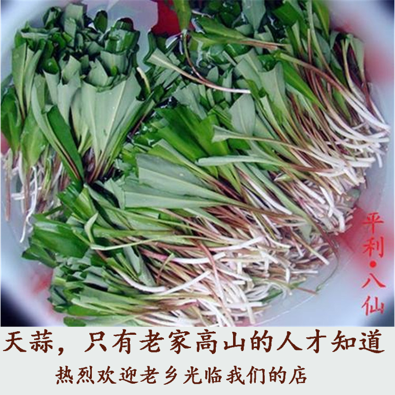 老坛酸菜农家腌制酸菜天蒜高山韭菜酸菜老坛现售产品