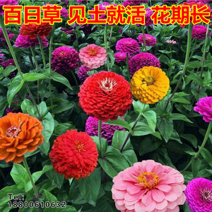 定做制防水幼儿园学生宝宝姓名贴名字水洗不褪