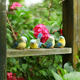 Creative garden balcony gardening decoration crafts gift home furnishings simulation resin bird decoration ornaments Creative garden balcony gardening decoration crafts gift home furnishings simulation resin bird decoration ornaments